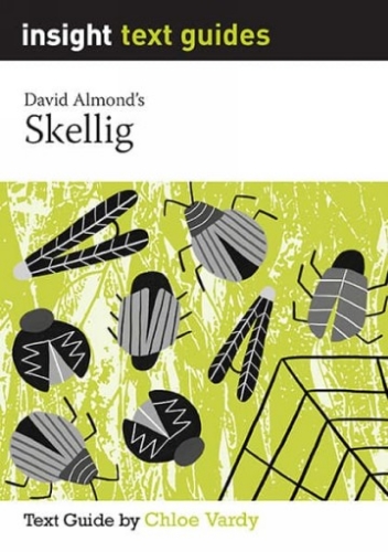 Insight Text Guide: Skellig